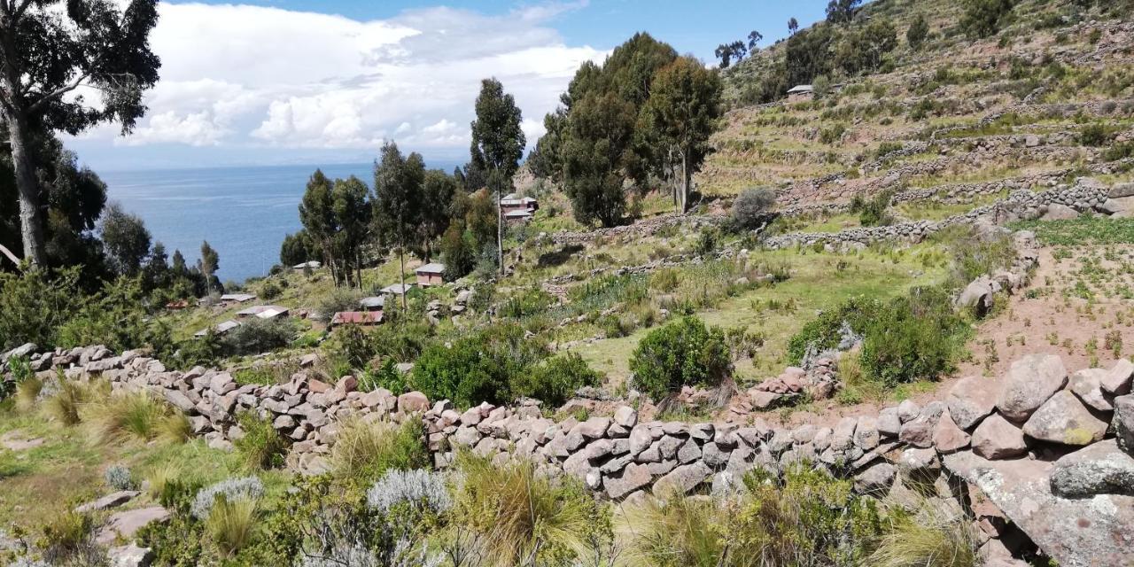 Taquile Hospedaje Mario Huillanopampa エクステリア 写真