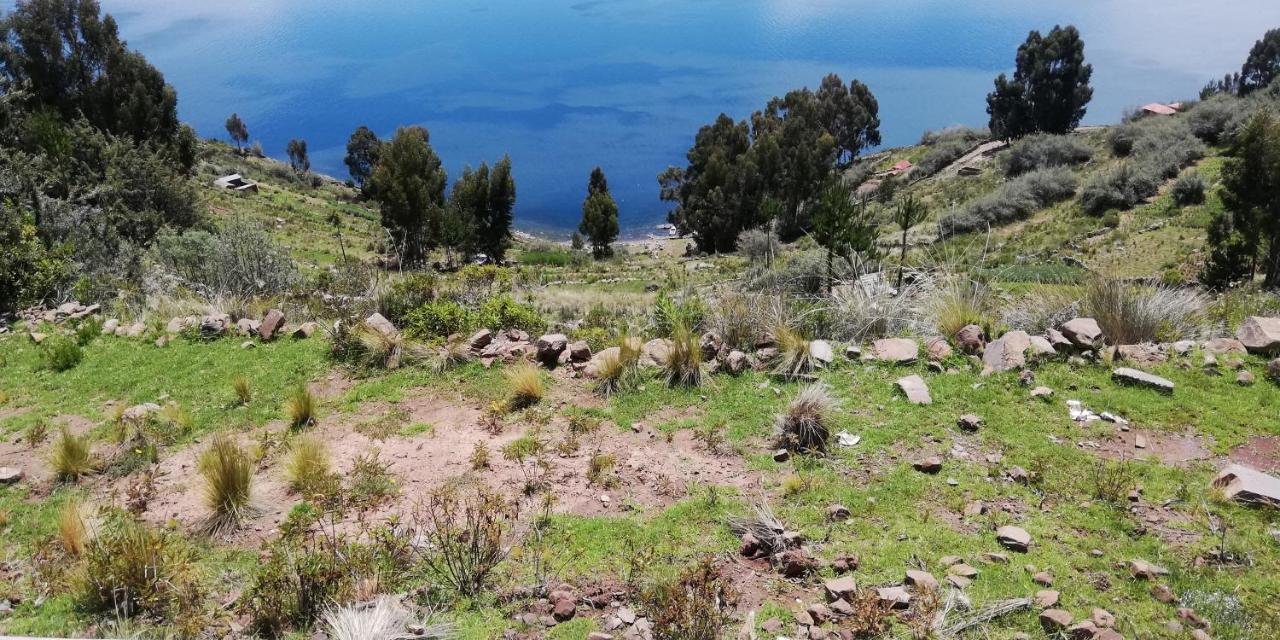 Taquile Hospedaje Mario Huillanopampa エクステリア 写真