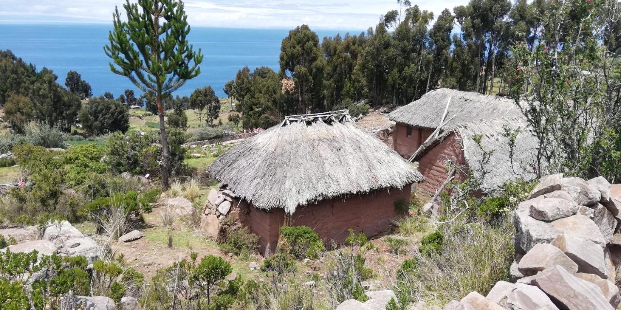 Taquile Hospedaje Mario Huillanopampa エクステリア 写真