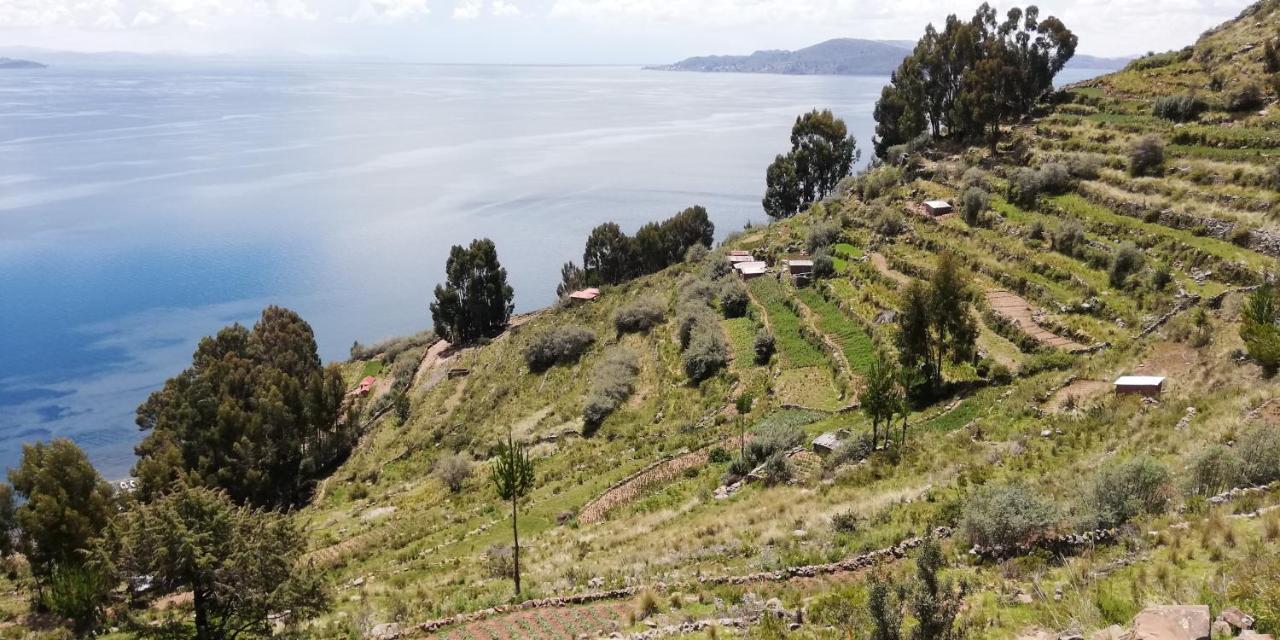 Taquile Hospedaje Mario Huillanopampa エクステリア 写真