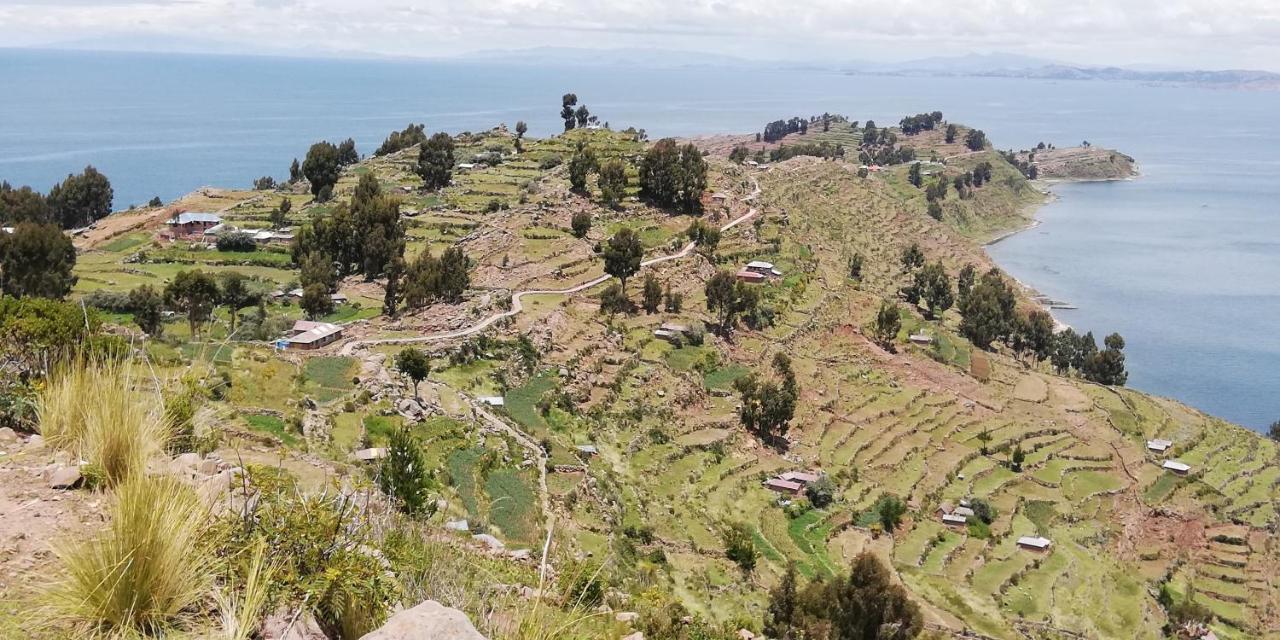 Taquile Hospedaje Mario Huillanopampa エクステリア 写真