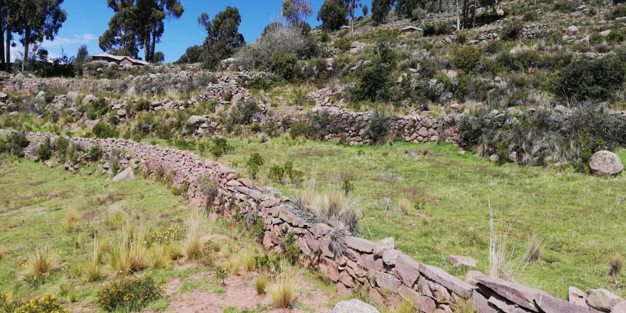 Taquile Hospedaje Mario Huillanopampa エクステリア 写真