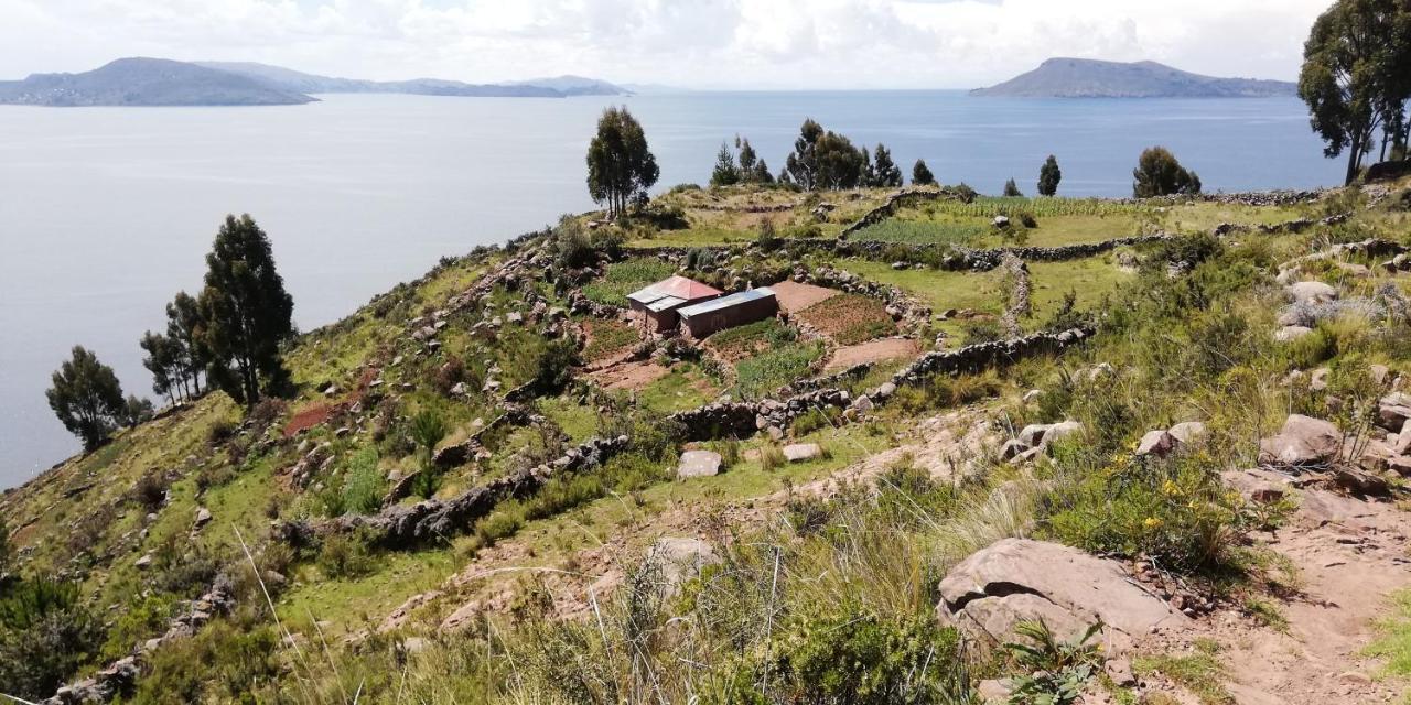 Taquile Hospedaje Mario Huillanopampa エクステリア 写真