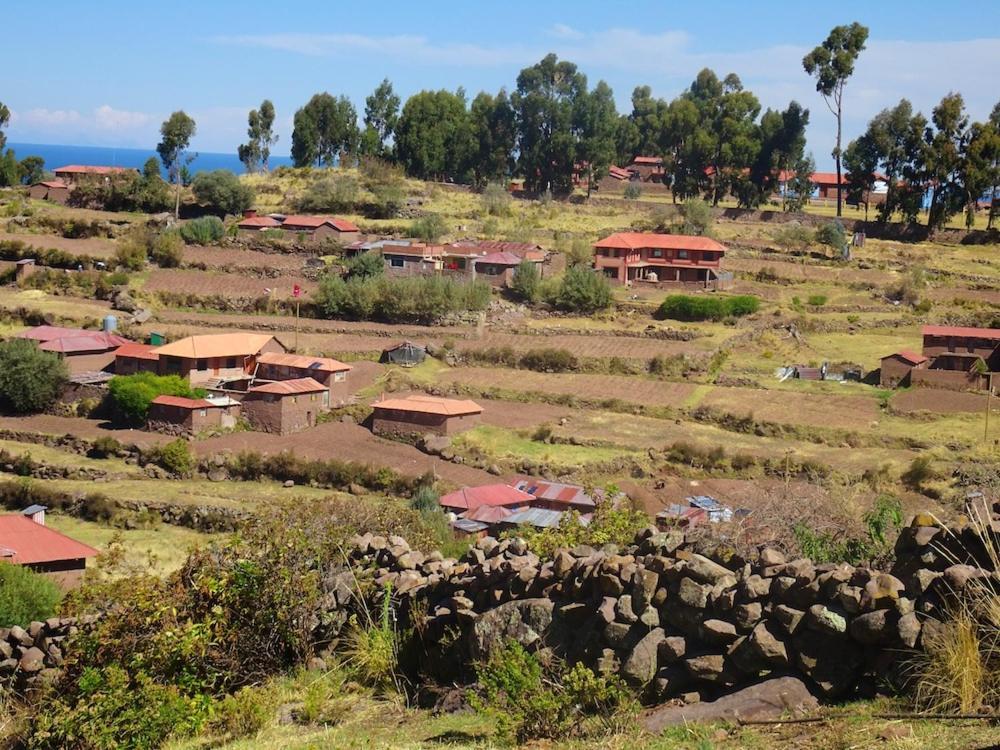 Taquile Hospedaje Mario Huillanopampa エクステリア 写真