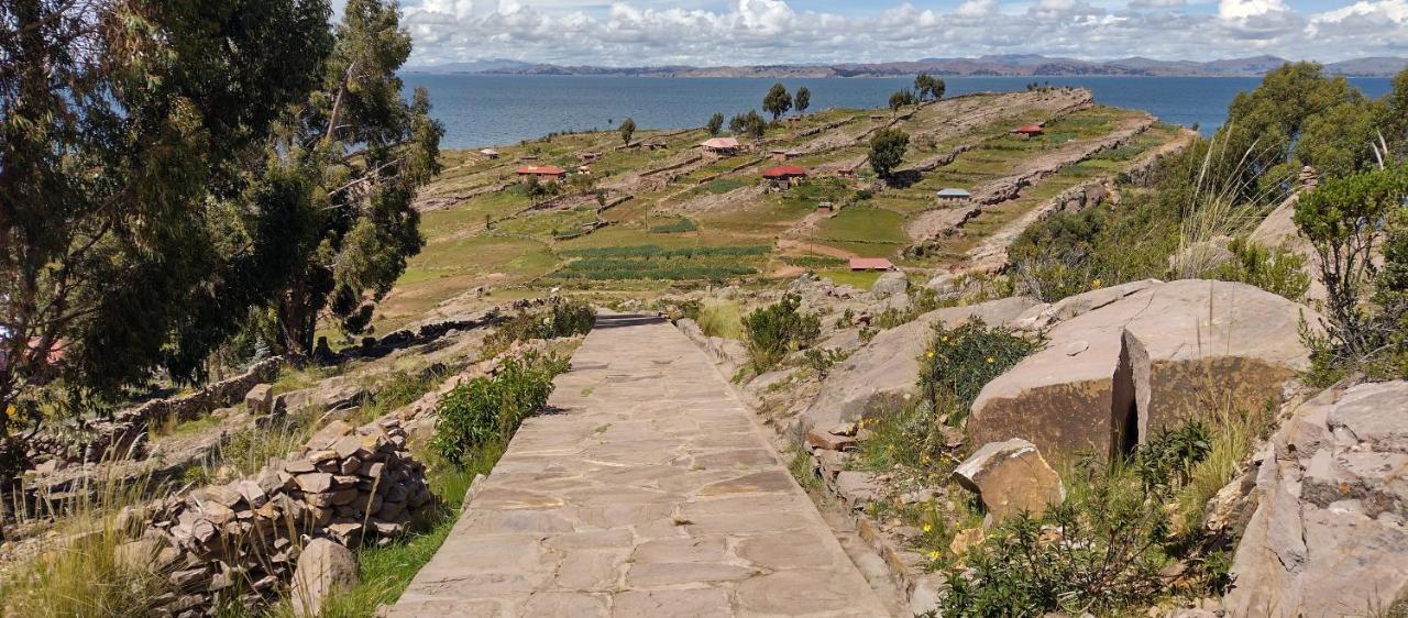 Taquile Hospedaje Mario Huillanopampa エクステリア 写真