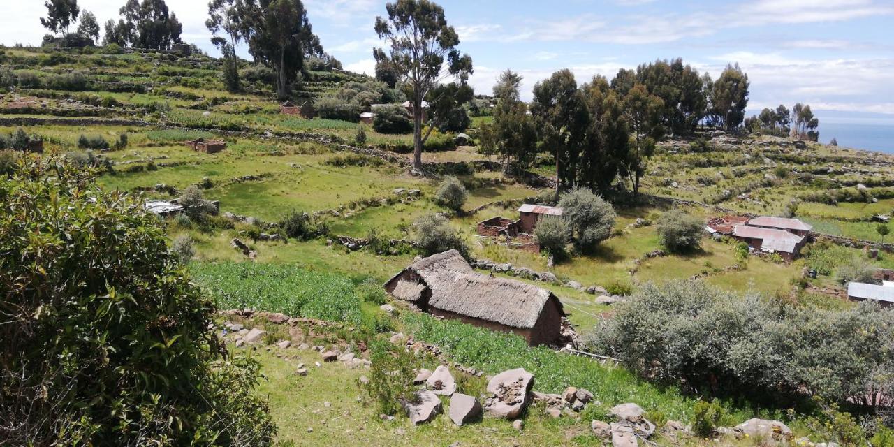 Taquile Hospedaje Mario Huillanopampa エクステリア 写真