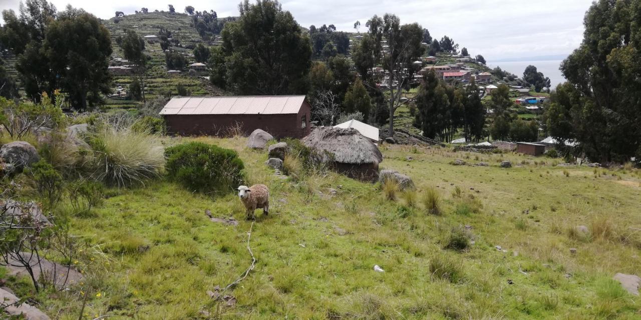 Taquile Hospedaje Mario Huillanopampa エクステリア 写真