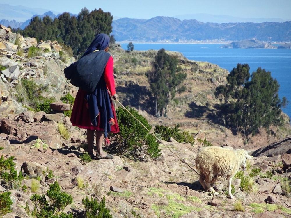 Taquile Hospedaje Mario Huillanopampa エクステリア 写真